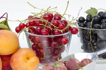 Aprikose mit Joghurt und Johannisbeeren