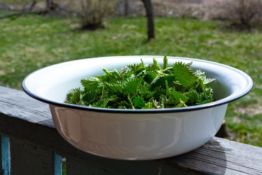 Brennesselsalat