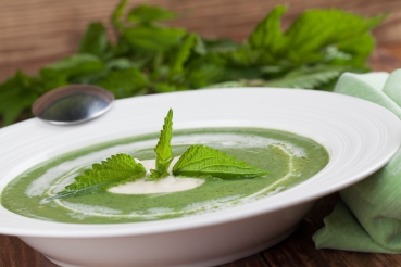 Brennnesselsuppe