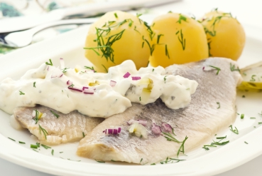 Béchamelkartoffeln mit gebratenem Fischfilet