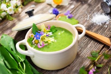 Frühlingssuppe