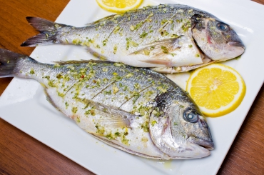 Dorade