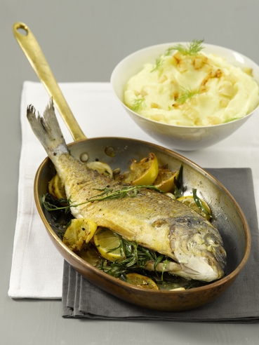 Estragon-Dorade vom Blech mit Kartoffel-Fenchel-Püree