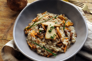 Gemüse-Pilz-Risotto