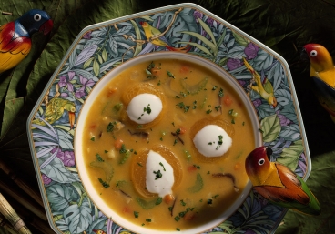 Hühnercreme-Suppe mit Aprikosen