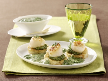 Jakobsmuscheln mit Spinatsauce