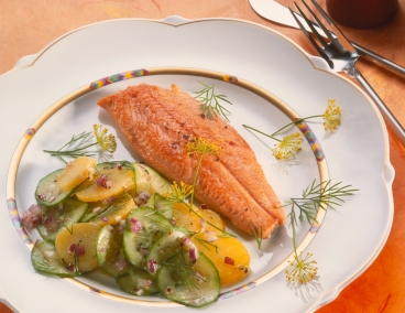 Lachsforelle mit Kartoffel-Gurken-Salat