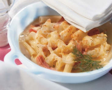 Nudel-Fenchel-Gratin