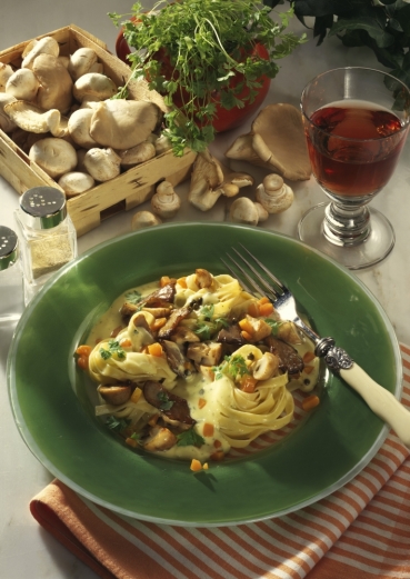 Pilz-Kräutersauce mit Bandnudeln