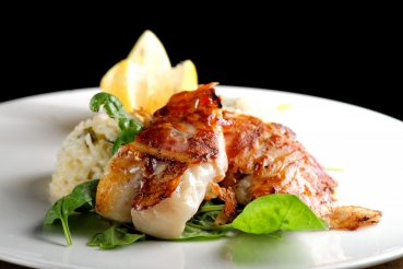 Red Snapper auf jungem Spinat