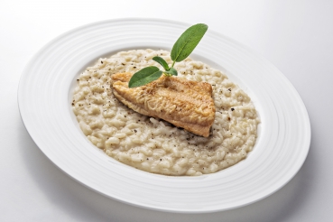 Schellfischfilet auf Oolong-Risotto