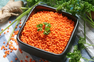 Rote Linsen Provencale