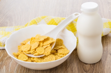 Protein Cornflakes